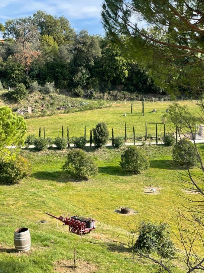 Resort Panoramico Canale Suite - Private Parking - Natural Park Sinalunga Exterior photo