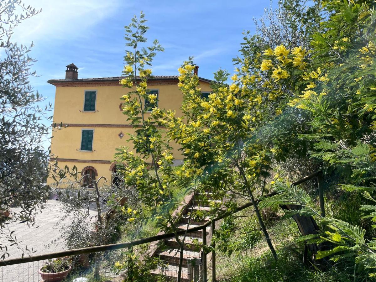 Resort Panoramico Canale Suite - Private Parking - Natural Park Sinalunga Exterior photo